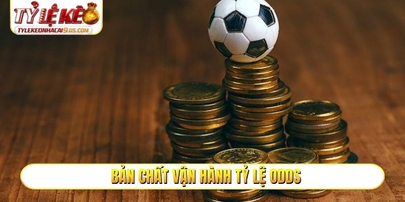 Bản chất vận hành tỷ lệ Odds