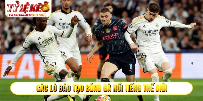 Các lò đào tạo bóng đá nổi tiếng thế giới