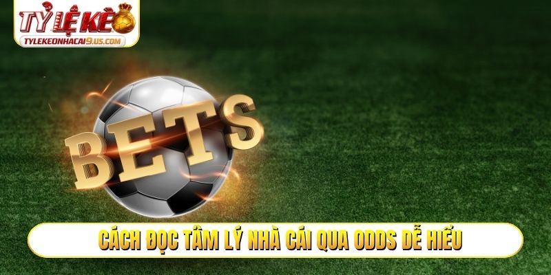 Cách đọc tâm lý nhà cái qua Odds dễ hiểu