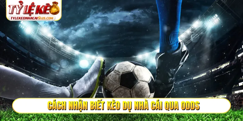 Cách nhận biết kèo dụ nhà cái qua odds