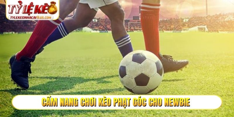 Cẩm nang chơi kèo phạt góc cho newbie