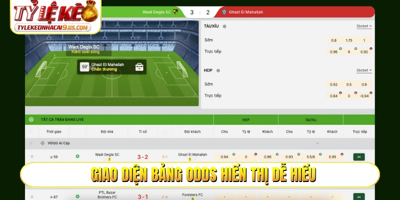 Giao diện bảng odds hiển thị dễ hiểu