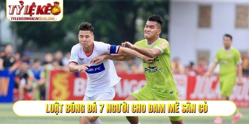 Luật bóng đá 7 người cho người đam mê sân cỏ