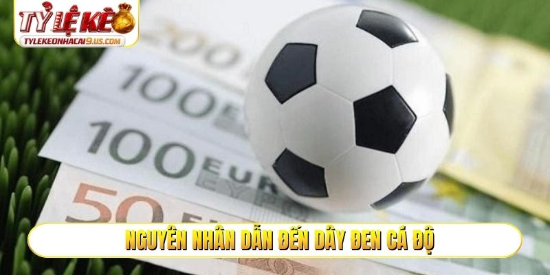 Nguyên nhân dẫn đến dây đen cá độ